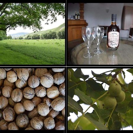 The Wine Cellar In The Old Gemeinde House Brauneberg Exterior photo