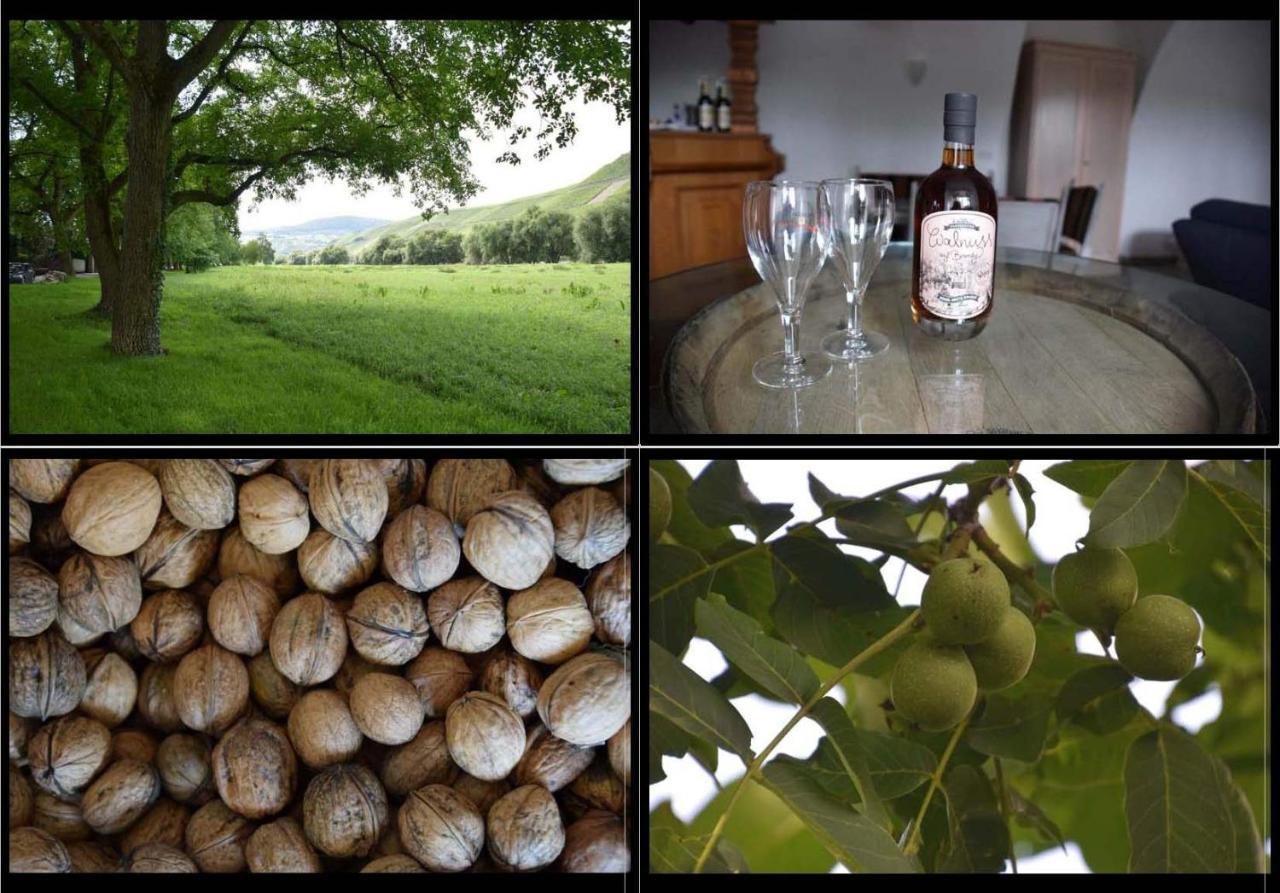 The Wine Cellar In The Old Gemeinde House Brauneberg Exterior photo